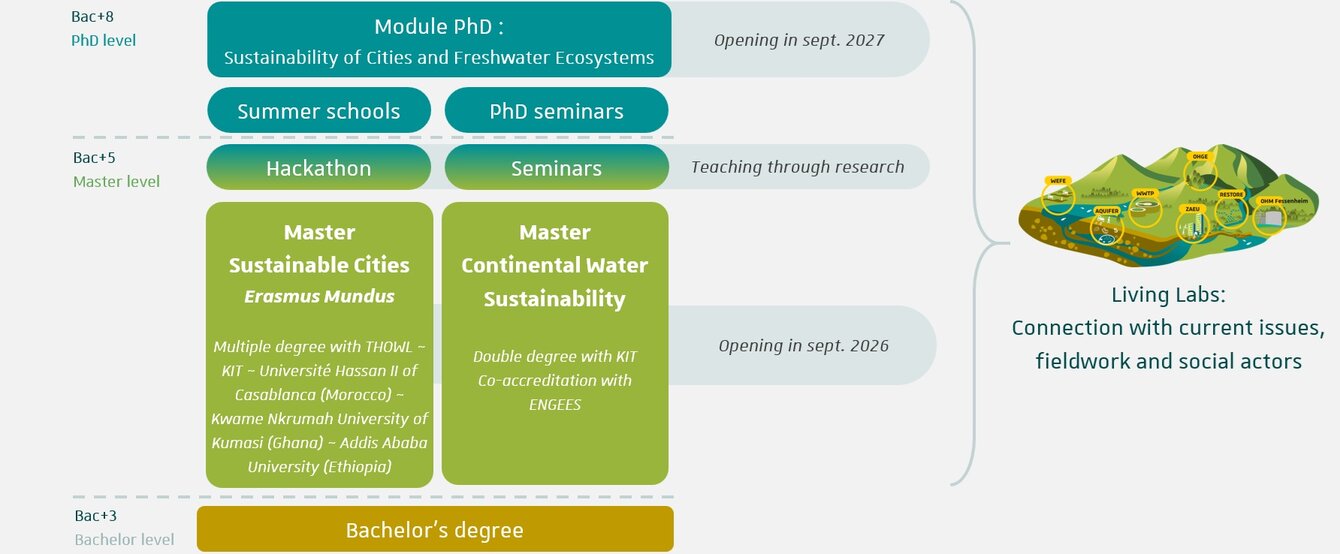 Schema présentant le graduate programme